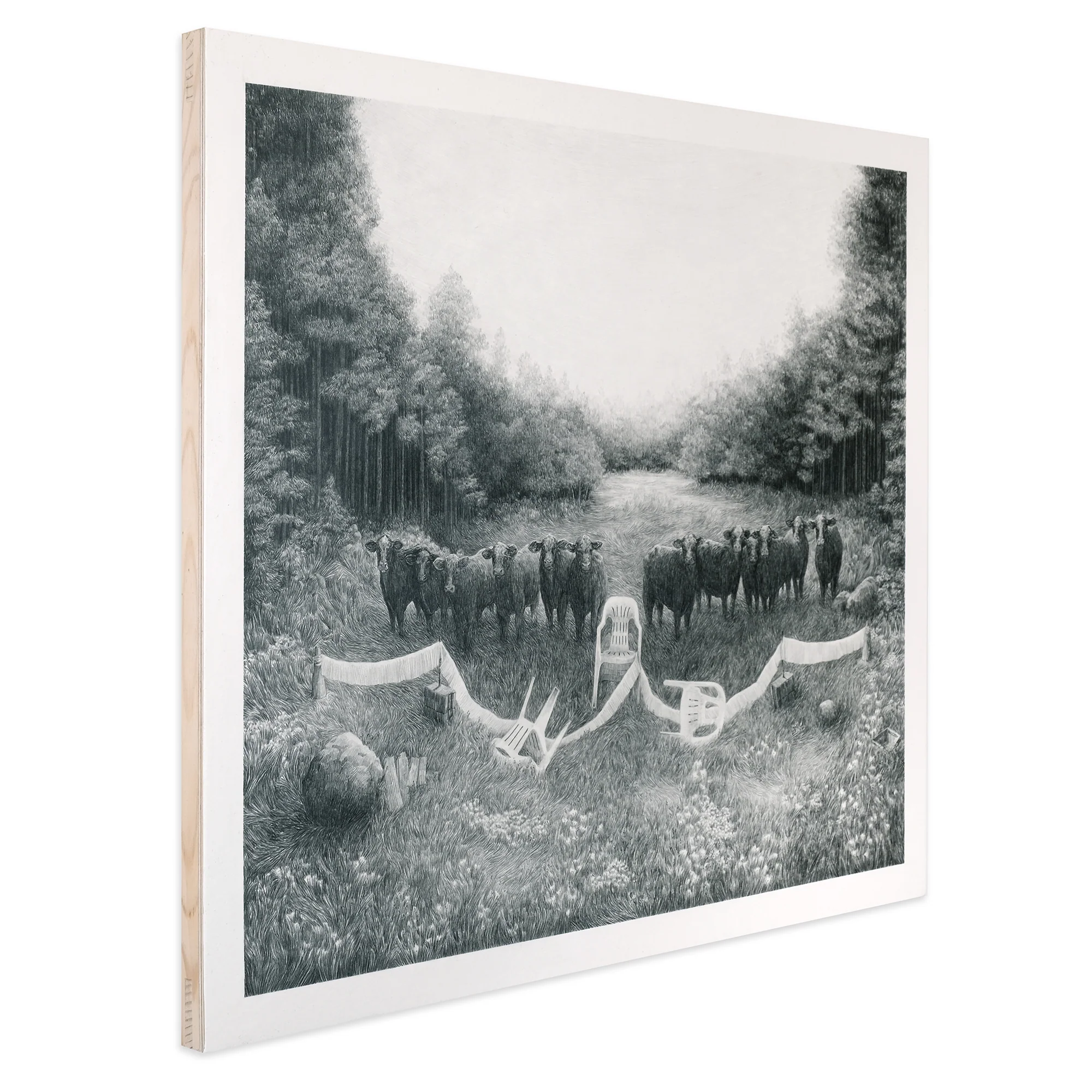 A clearing, a herd, pool chairs. - Image 2