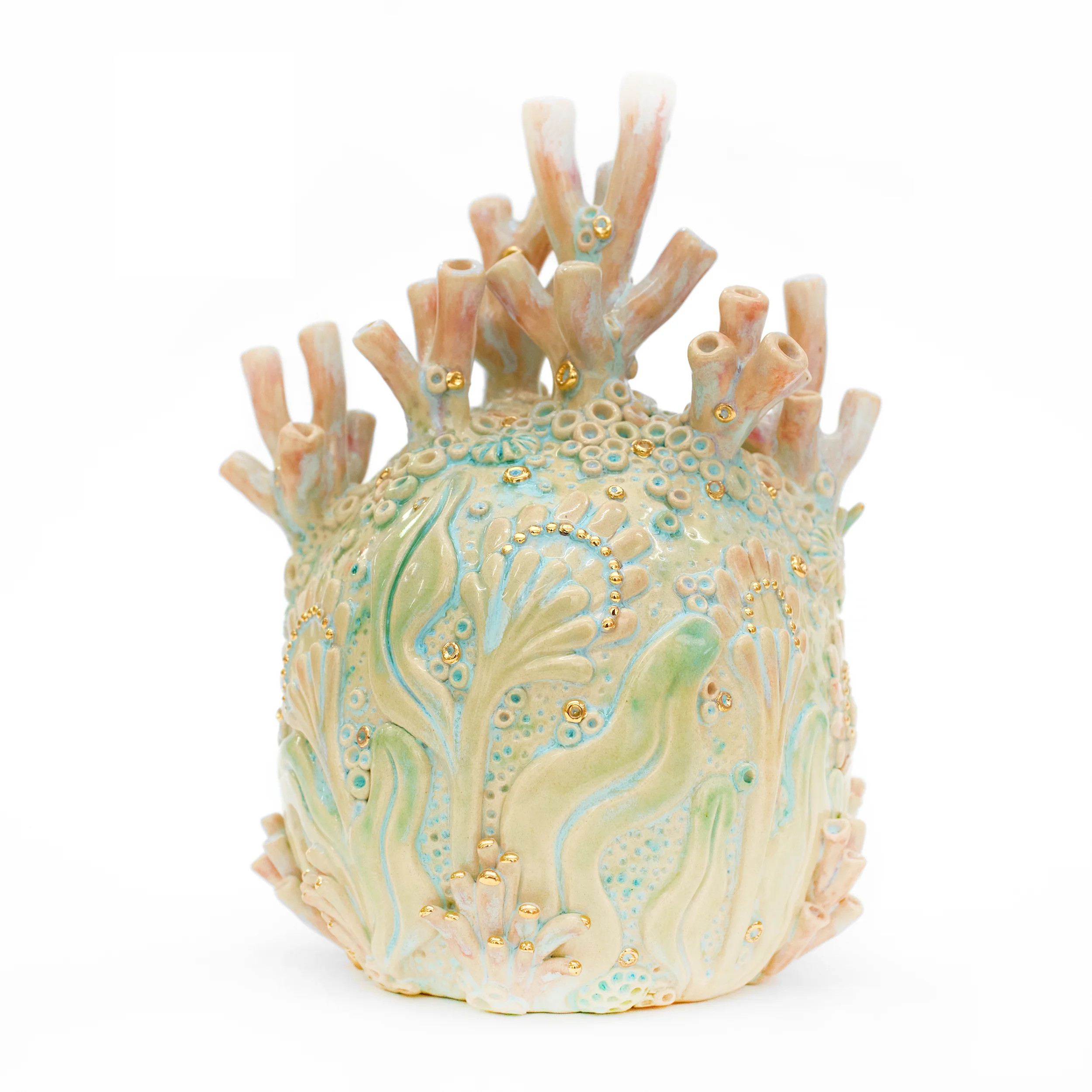 Coral 1 - Image 3