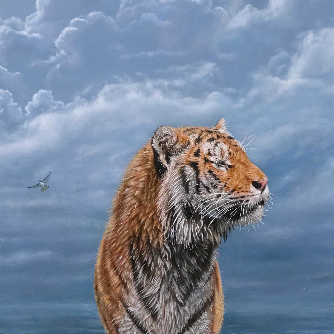 After the Storm - Image 3