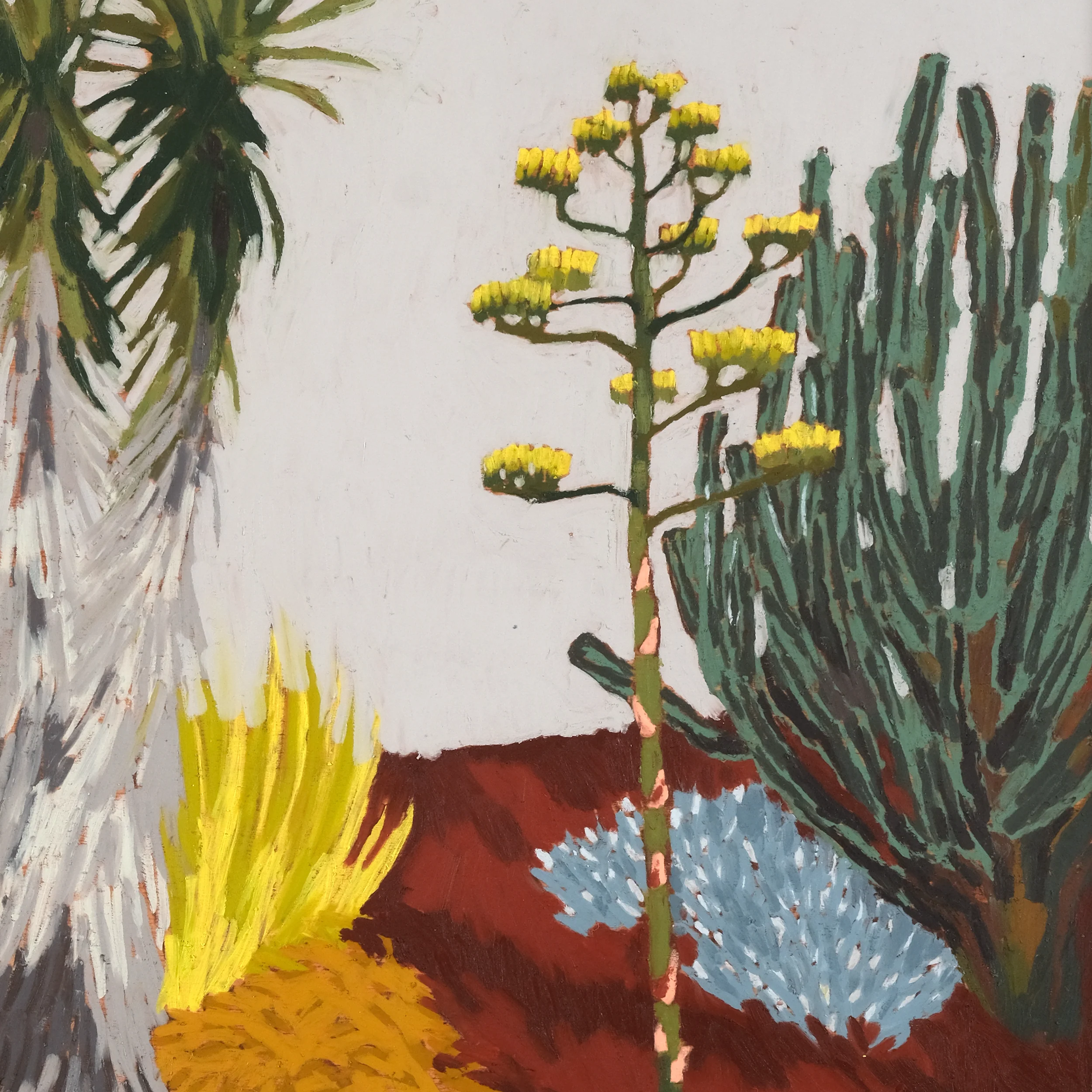 Agave and Candelabra - Image 3