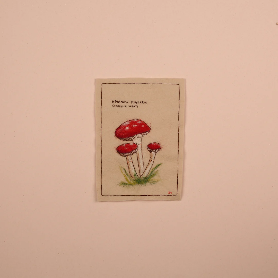 Amanita Muscaria (Storybook Variety) - Image 3