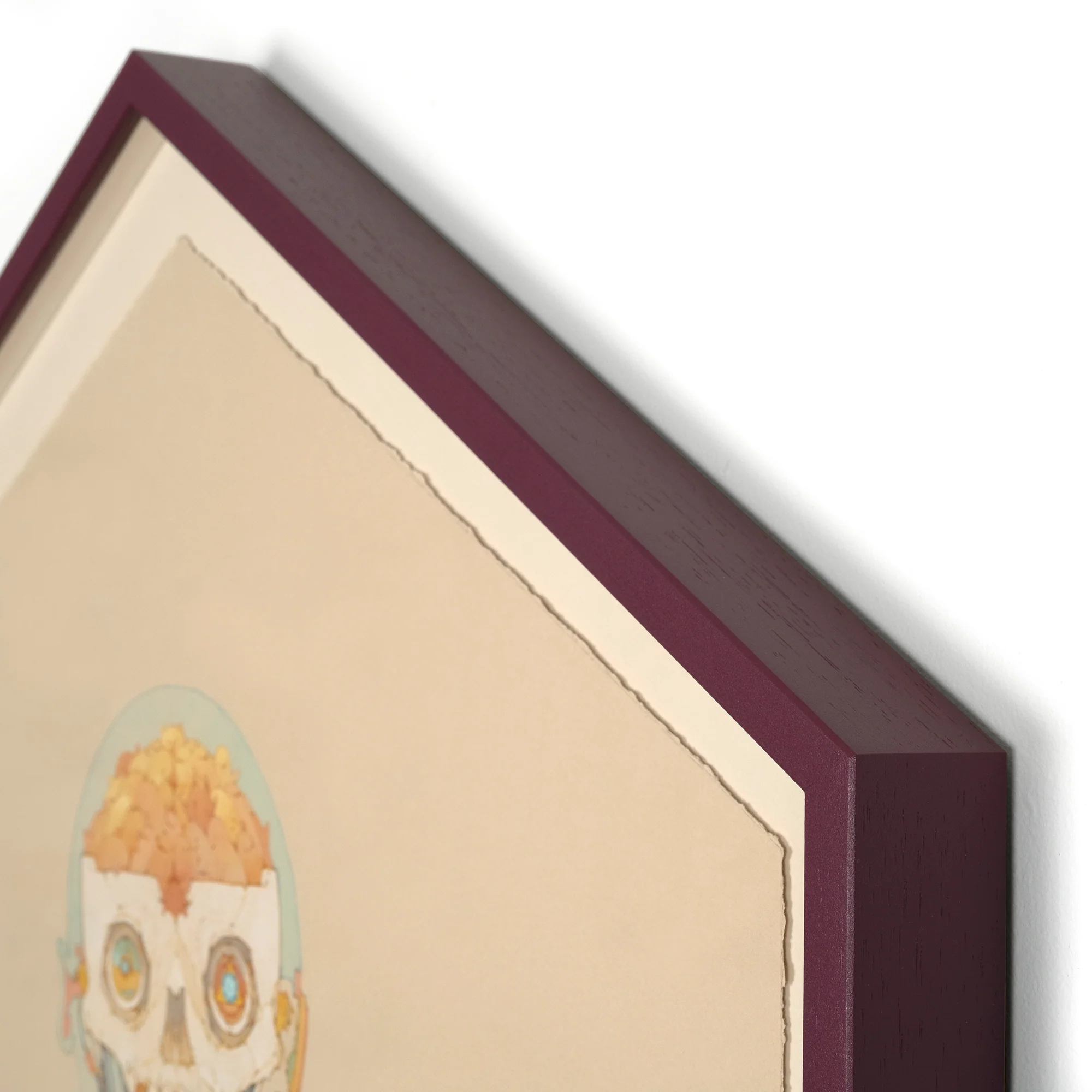 Anatomy - Image 3