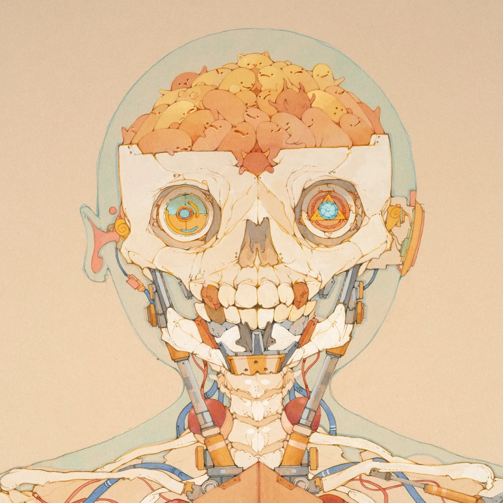 Anatomy - Image 5