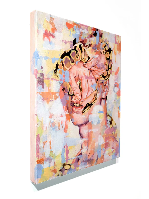 'Another Skin Shed' - Image 2