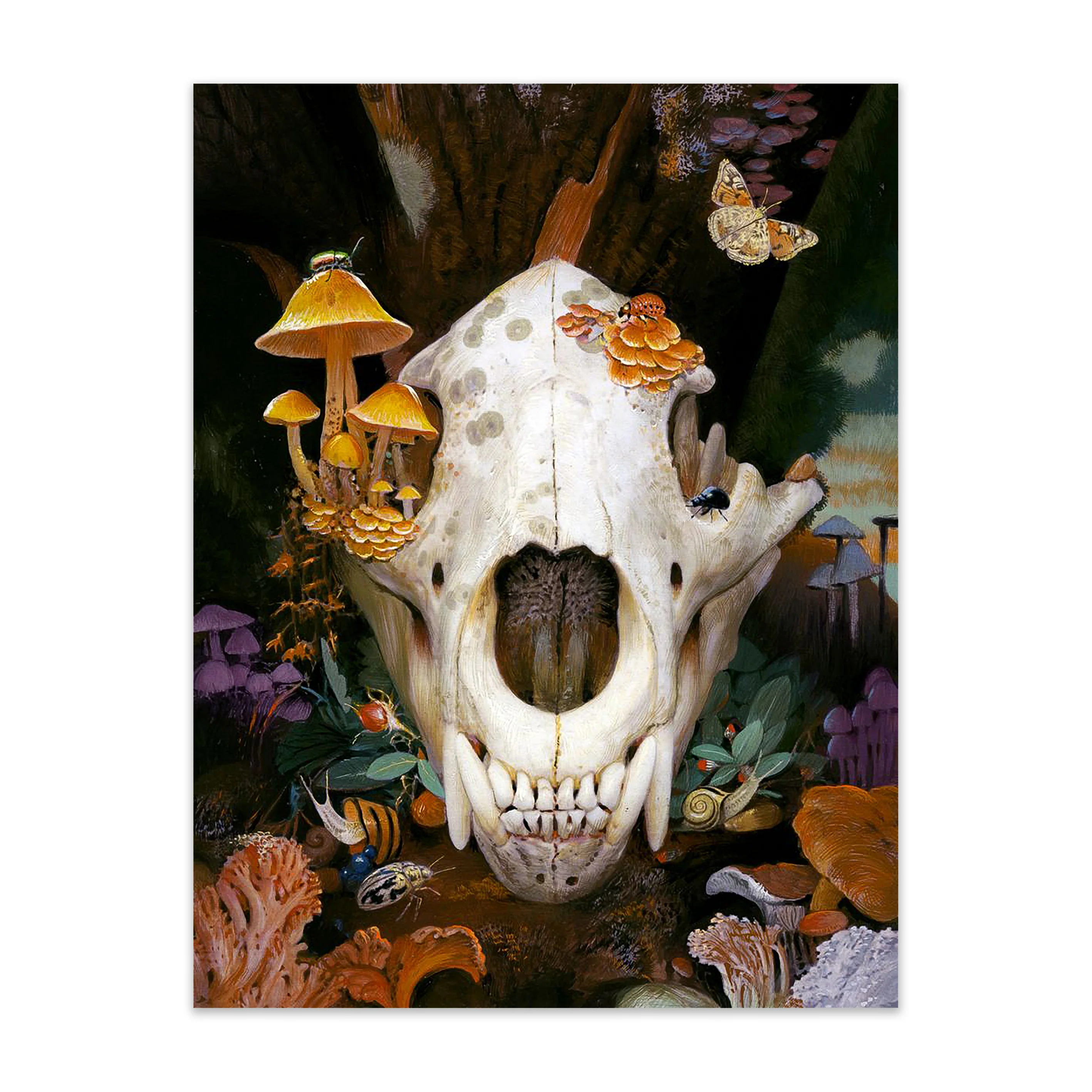 Bear Skull with Mushrooms - Image 2