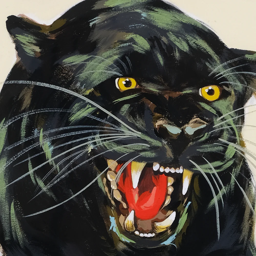 Black Velvet 2 (Panther) - Image 3