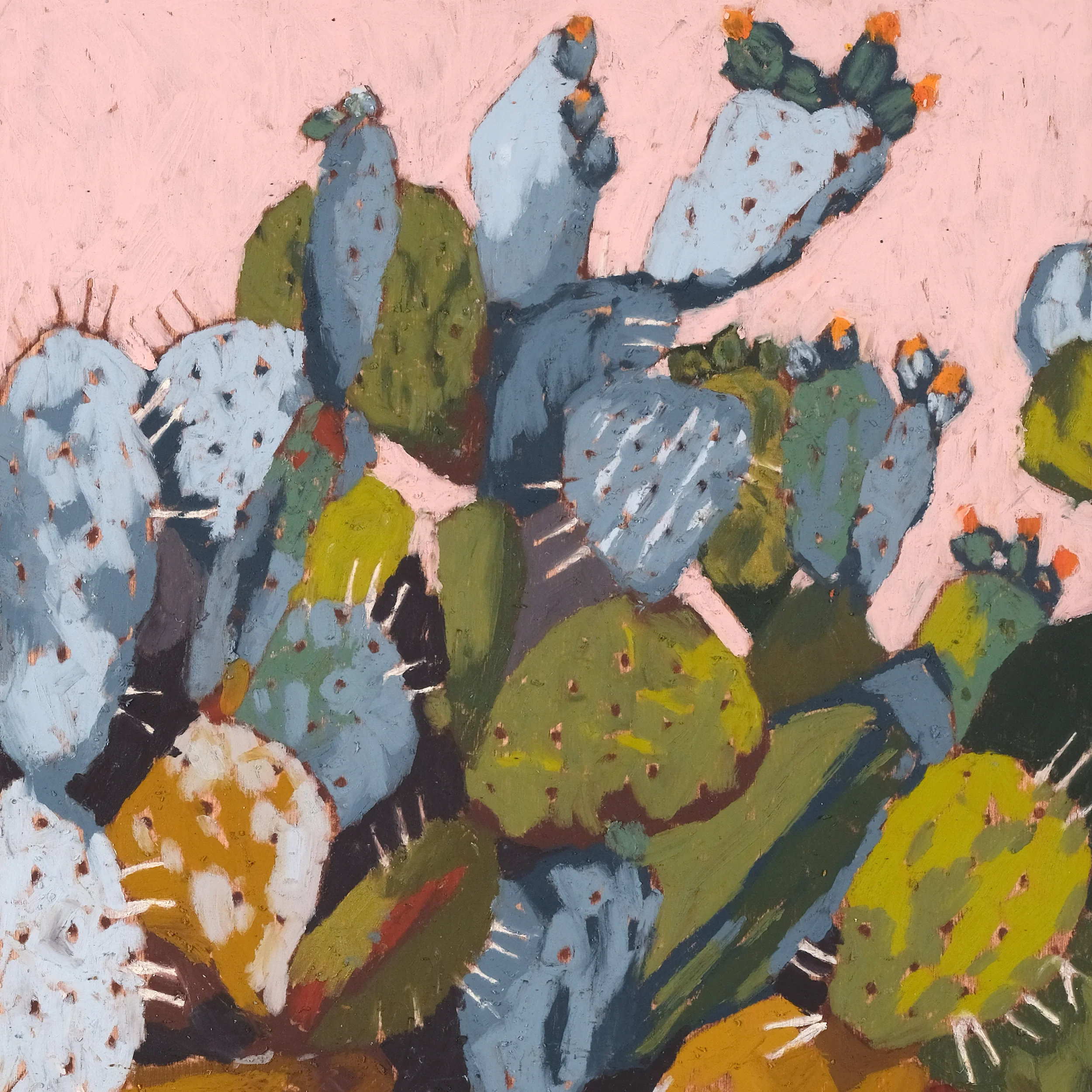 Cactus Pear - Image 3
