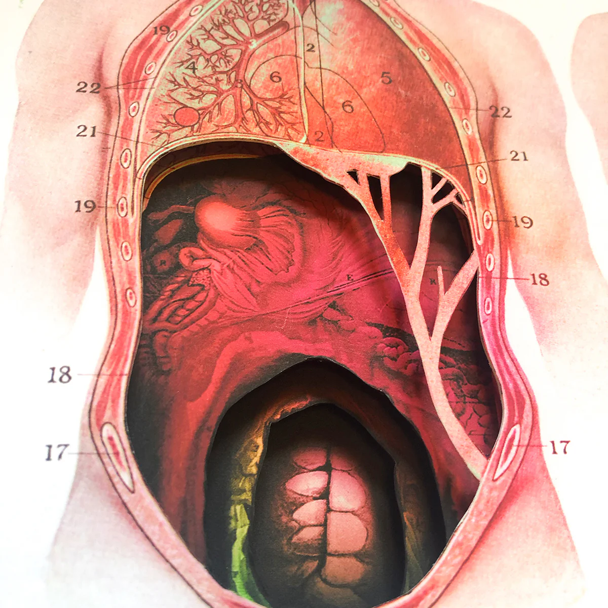 Choke - Image 3