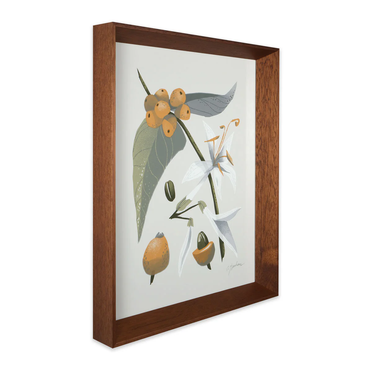 Coffee Plant 1 - Image 3