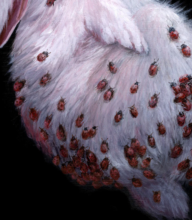Consumed By Thoughts Of You. - Image 3