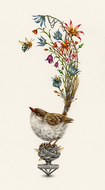 Lure (female)
