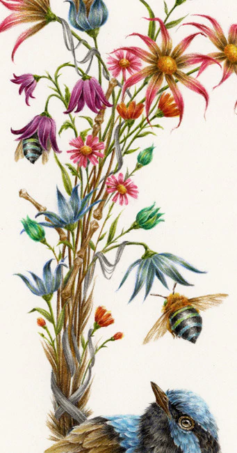Lure (male) - Image 2