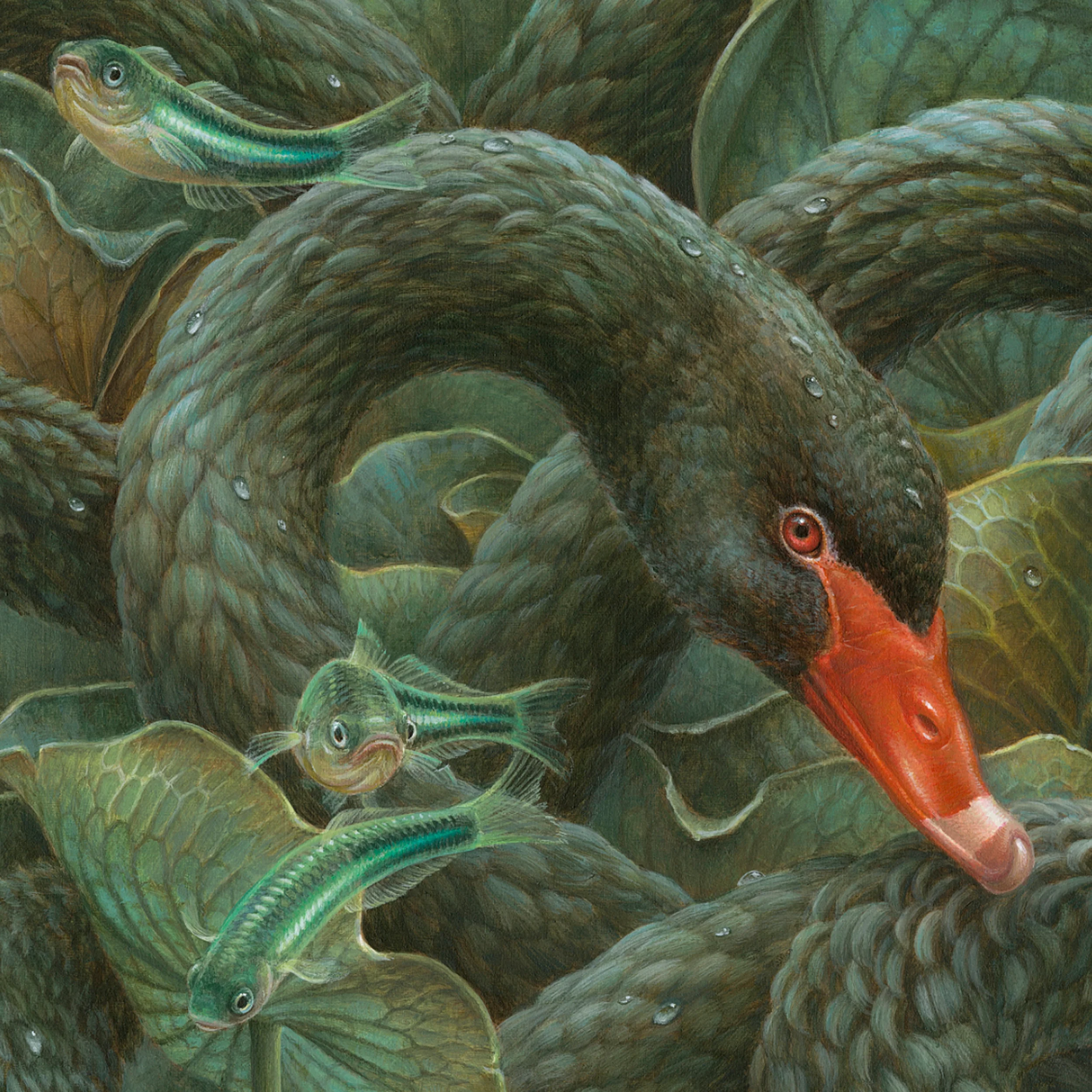 Scylla - Image 3