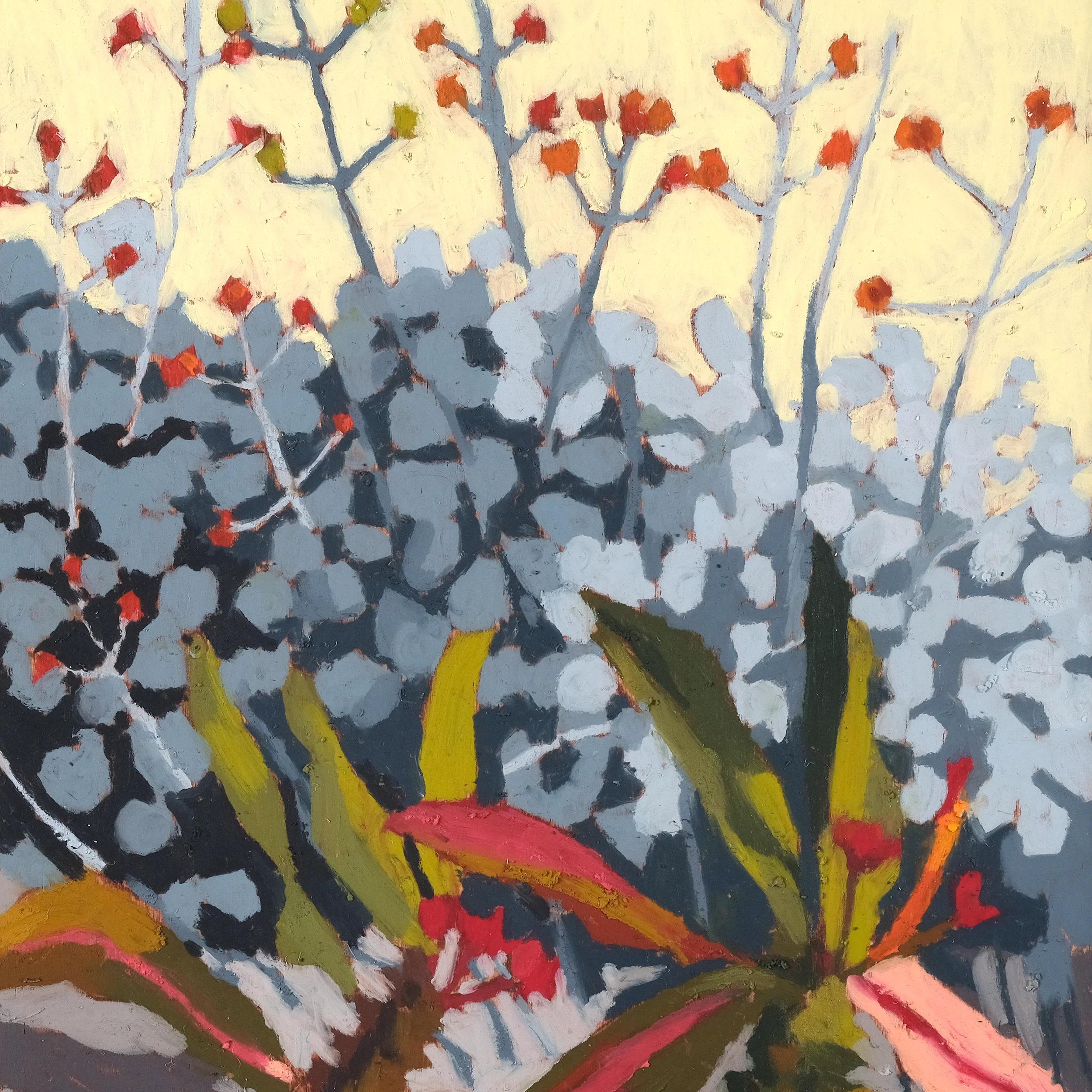 Crown of Thorns - Image 3