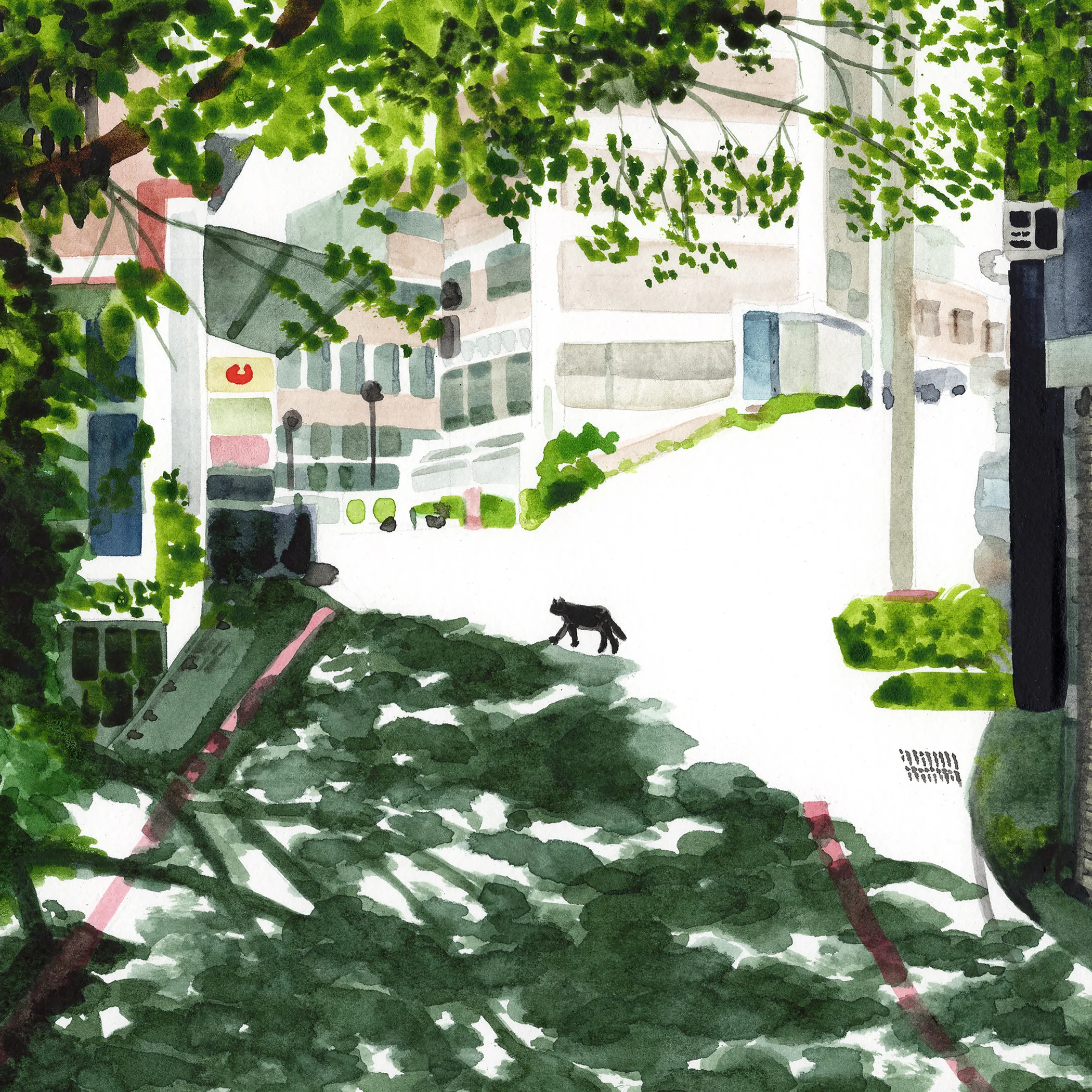 Dappled Light (print edition) - Image 3