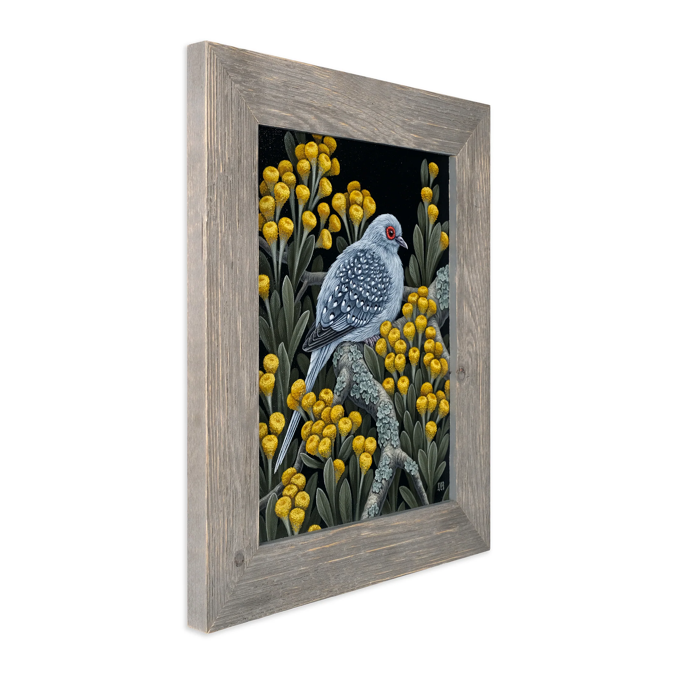 Diamond Dove - Image 2