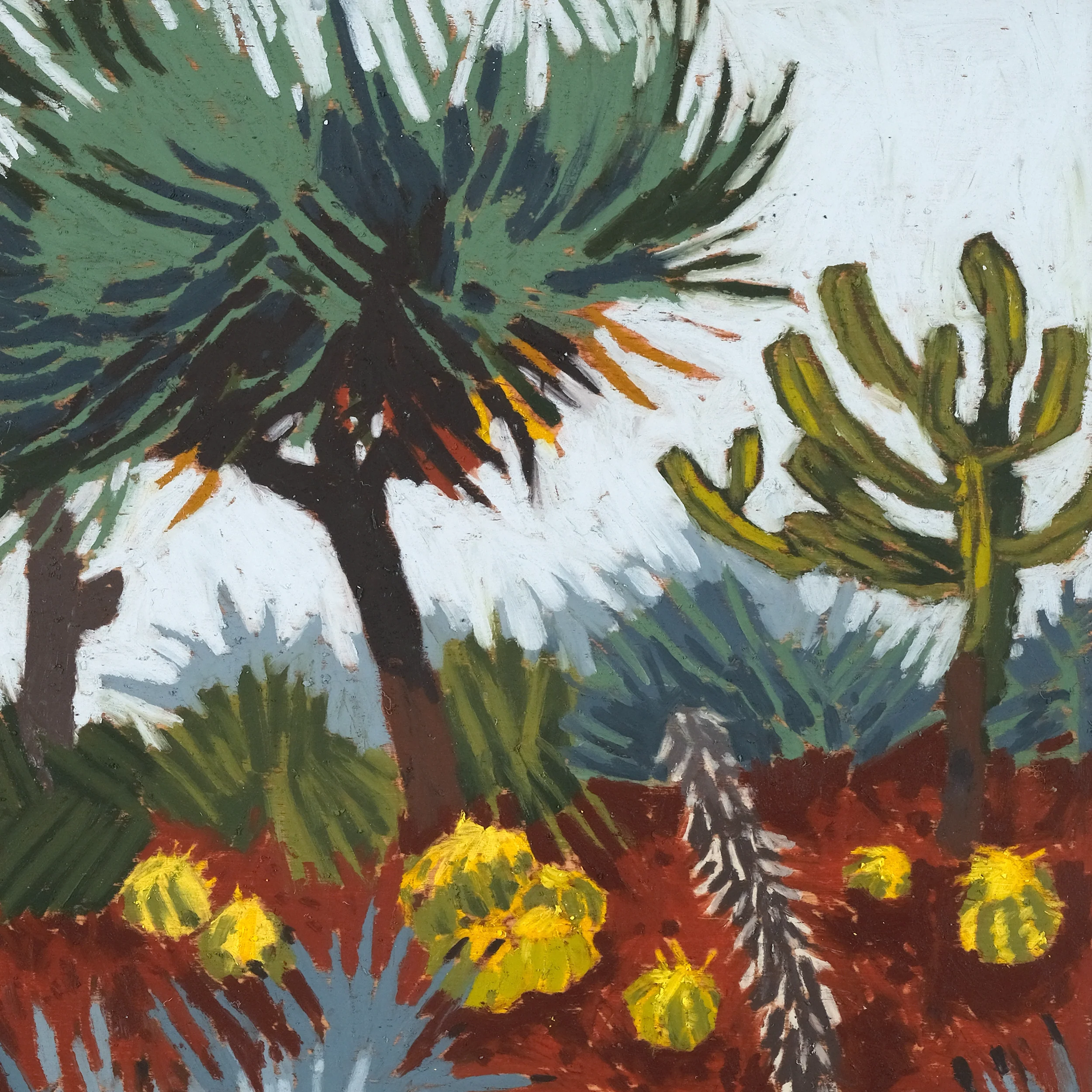 Dragon Tree and Golden Barrel - Image 3