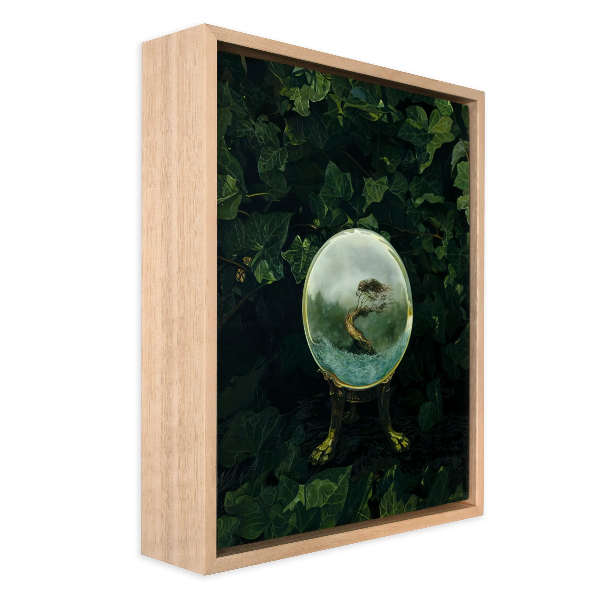Eucalyptus - Image 2
