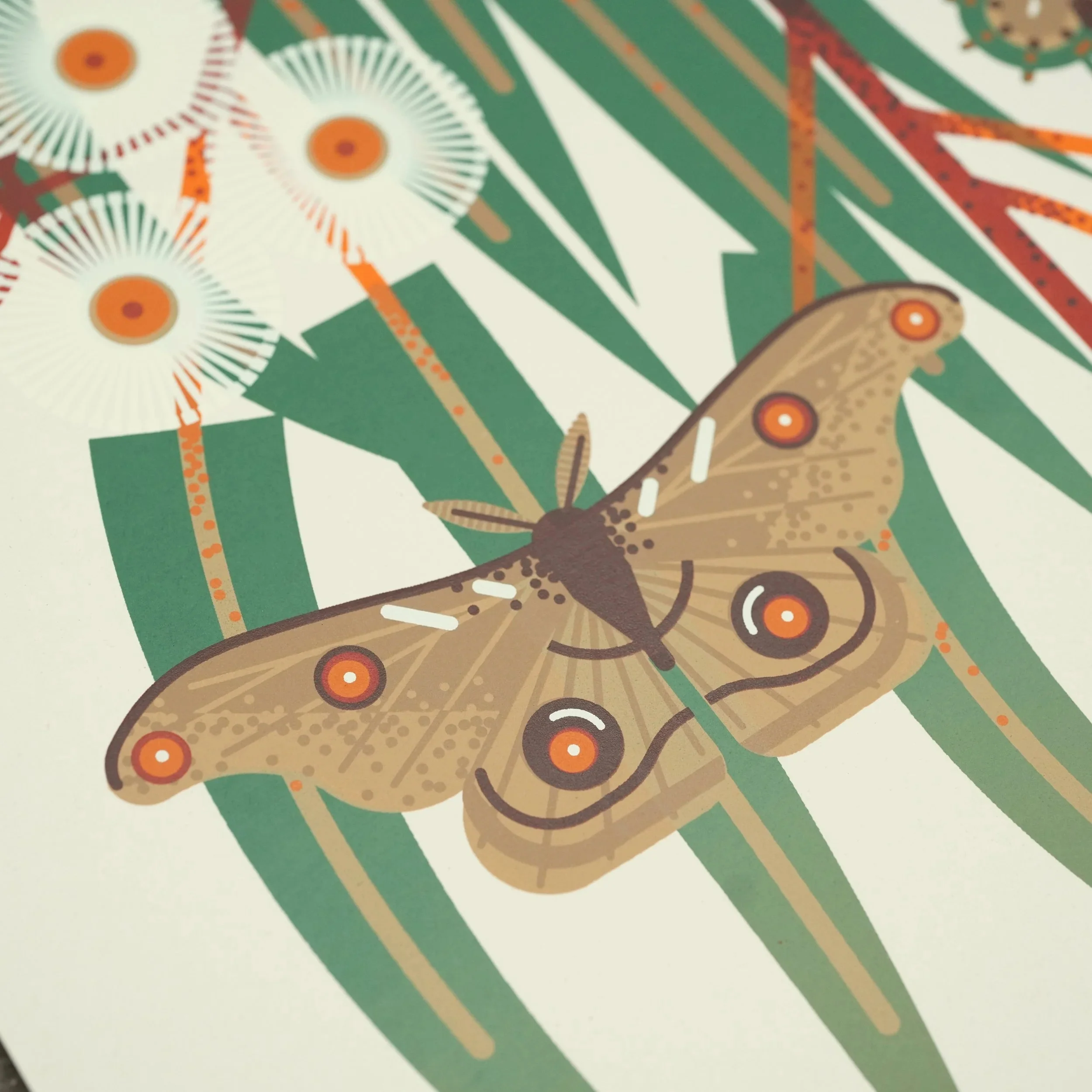 Eucalyptus Moth - Image 2