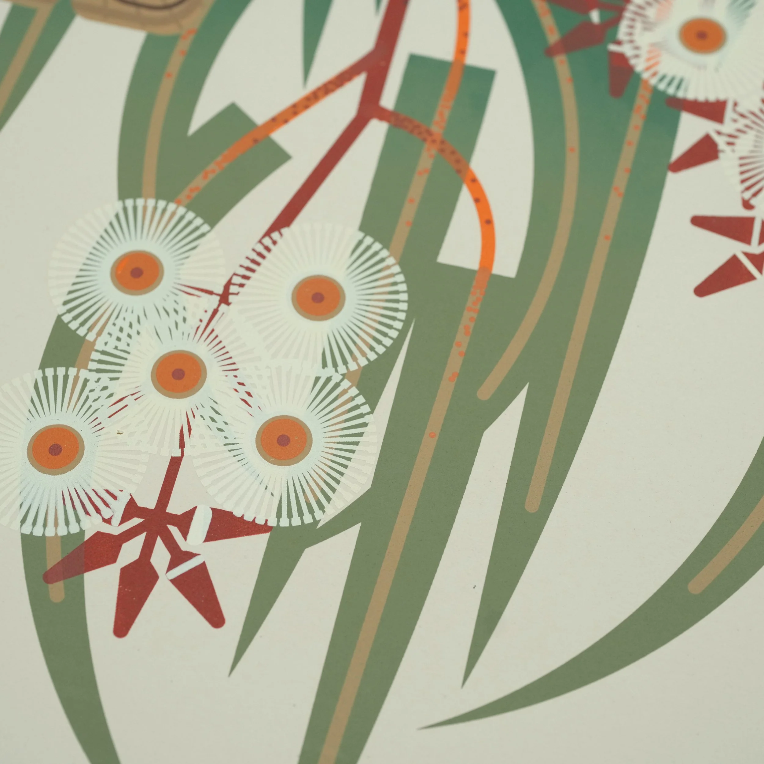 Eucalyptus Moth - Image 3
