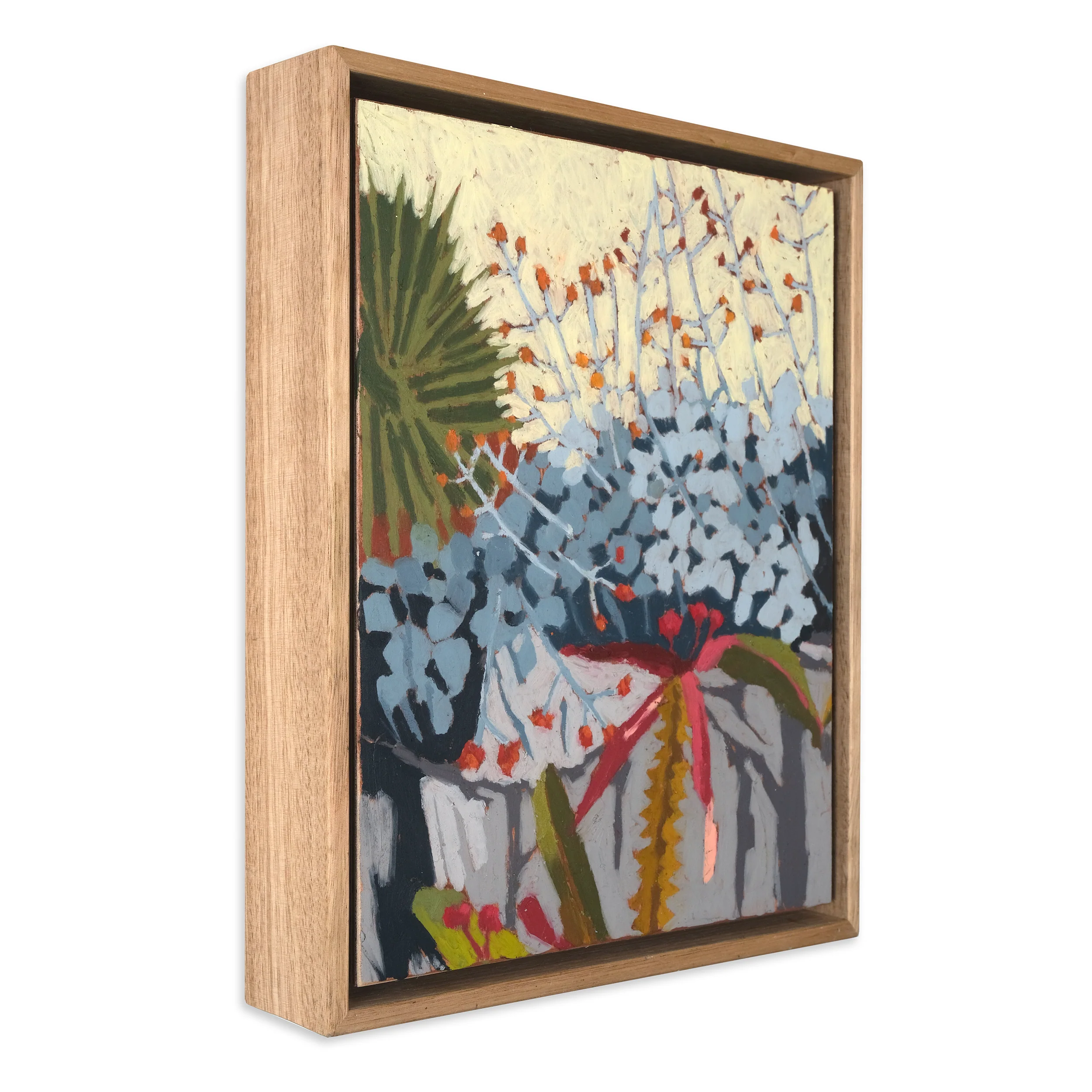 Euphorbia - Image 2