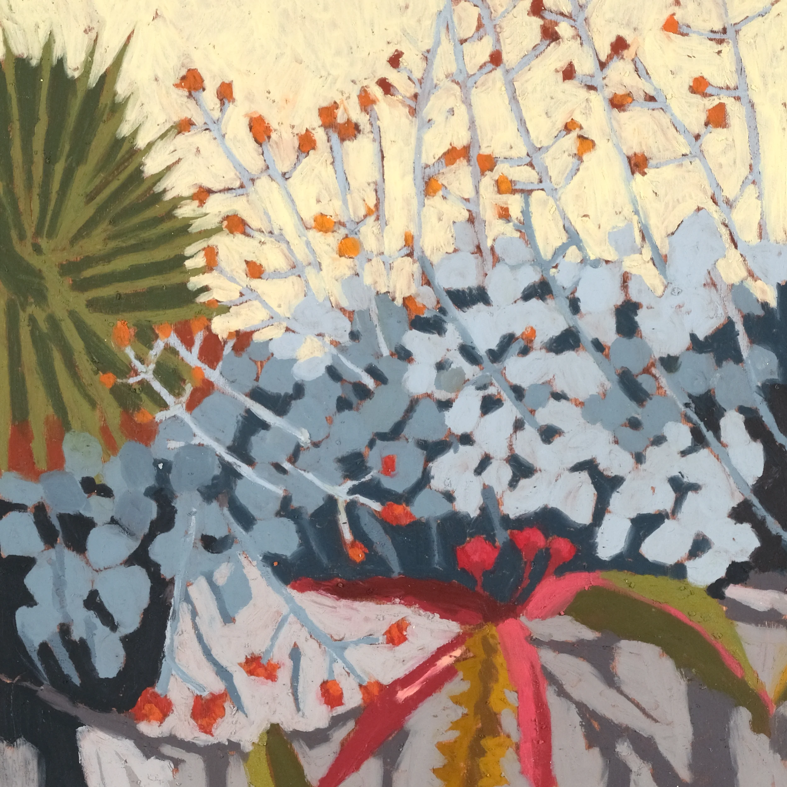 Euphorbia - Image 3