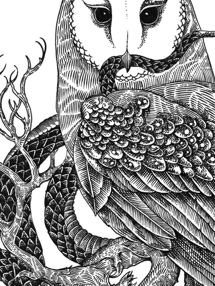 Feathers and Scales - Image 3