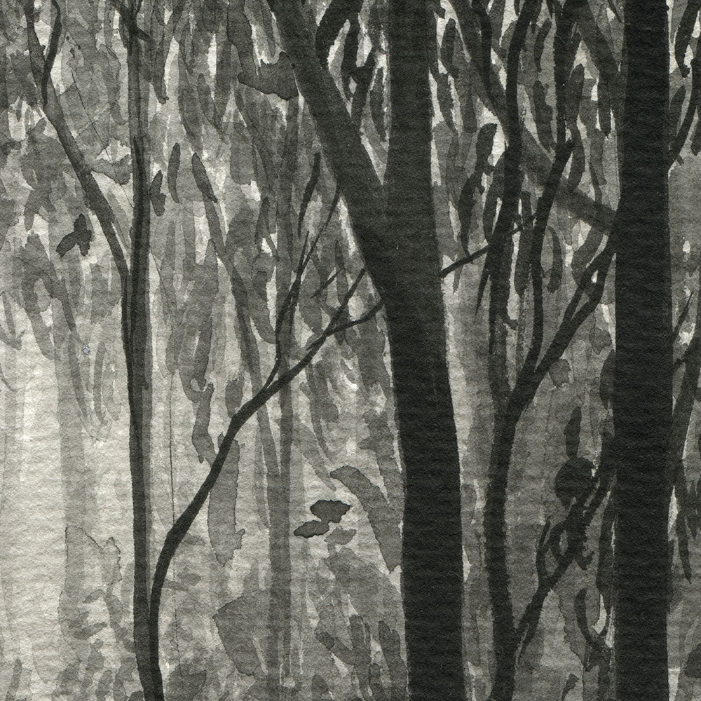 Forest Portal - Image 4