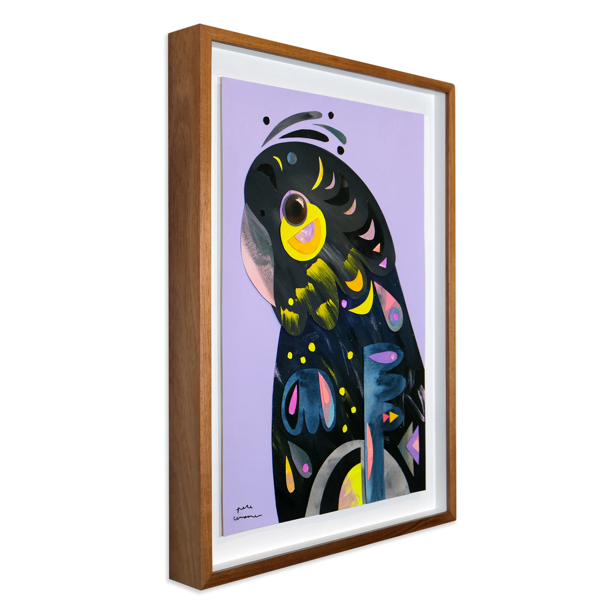 Glossy Black-Cockatoo - Image 2