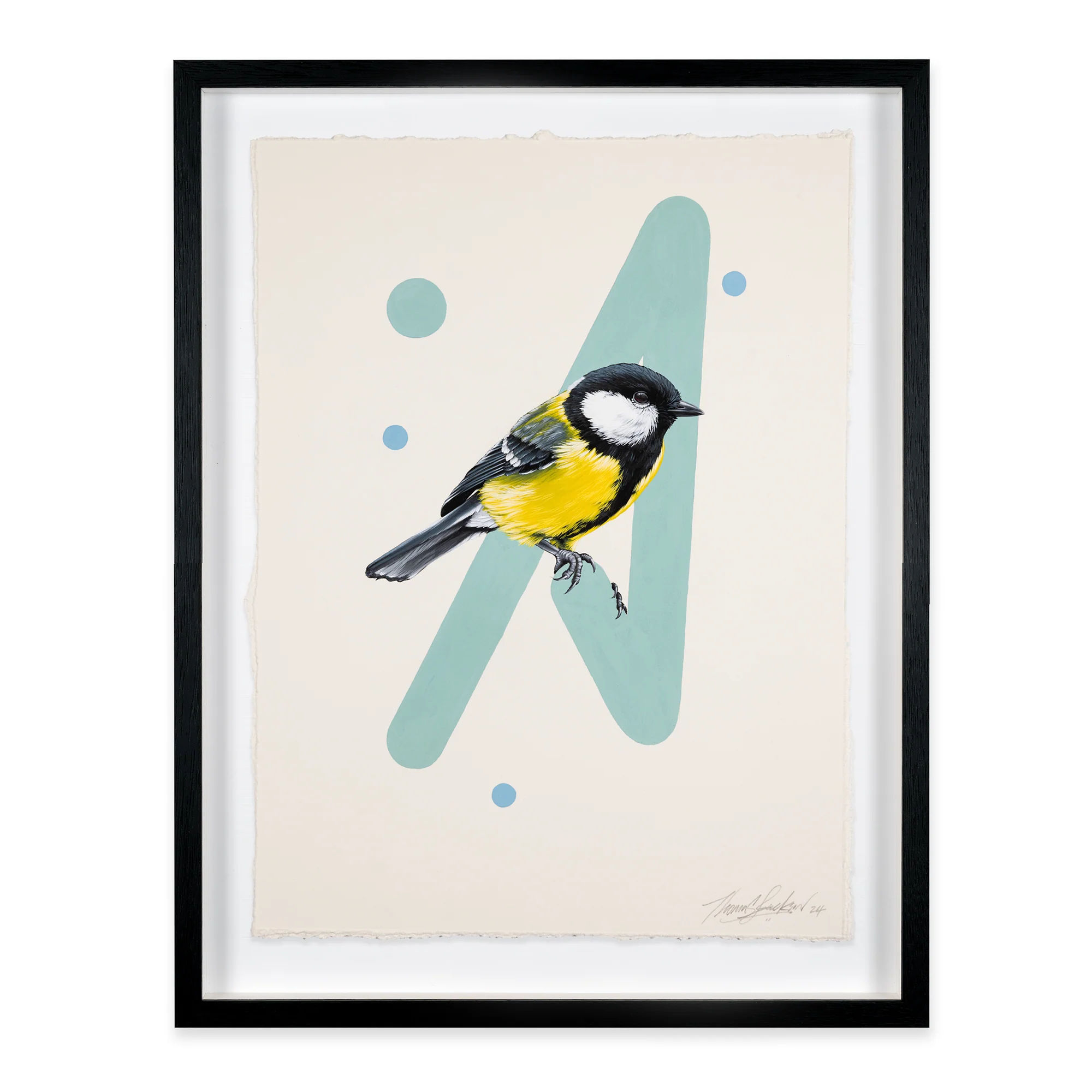 Great Tit