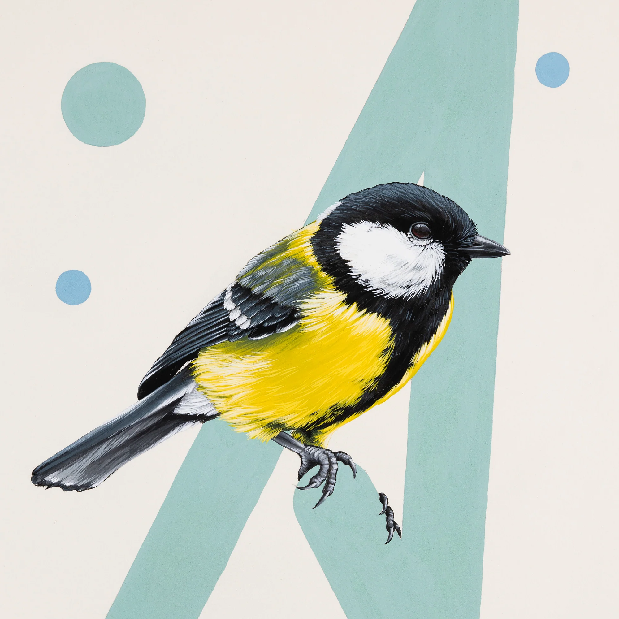 Great Tit - Image 3