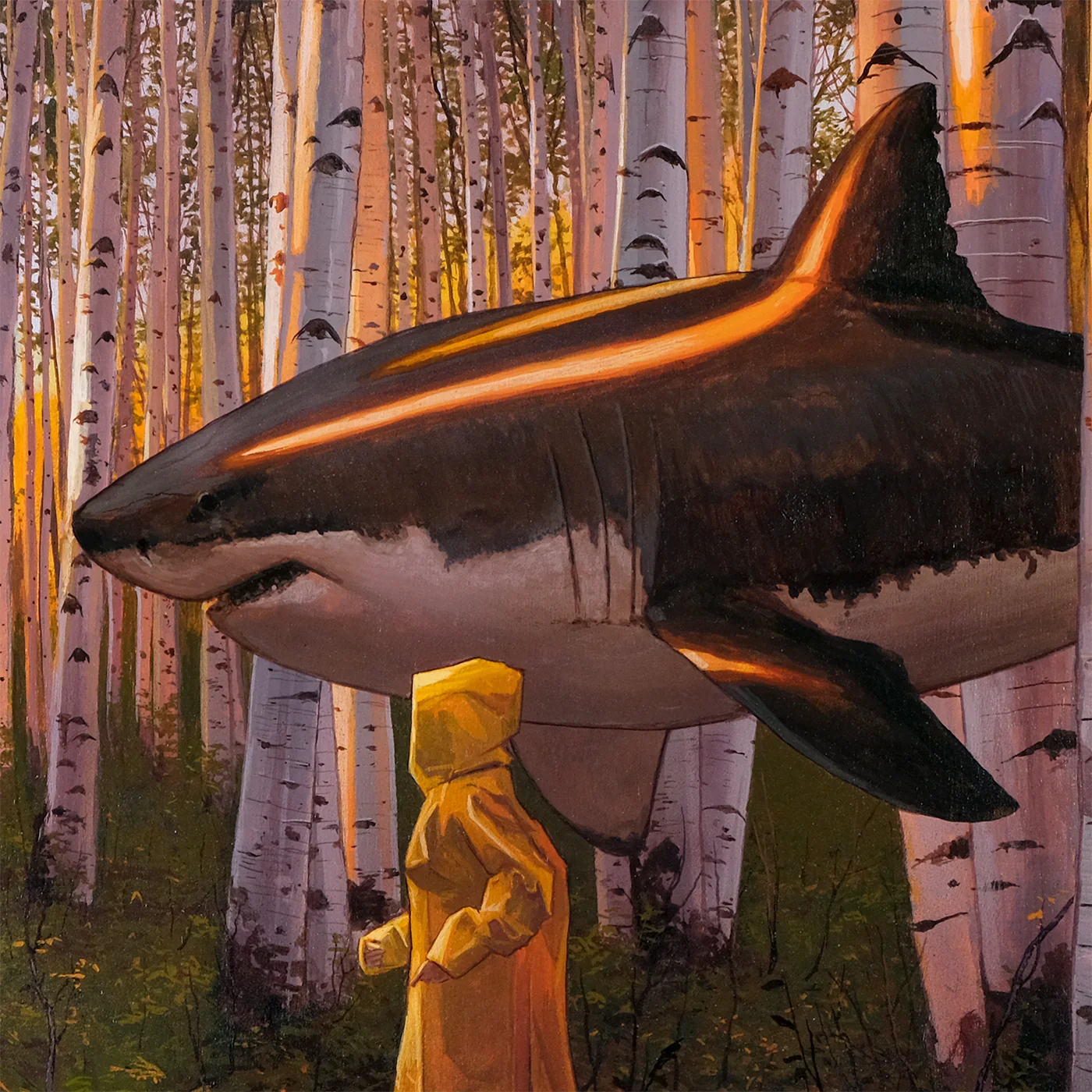 Happy to Be Lost in Any Direction - Image 3