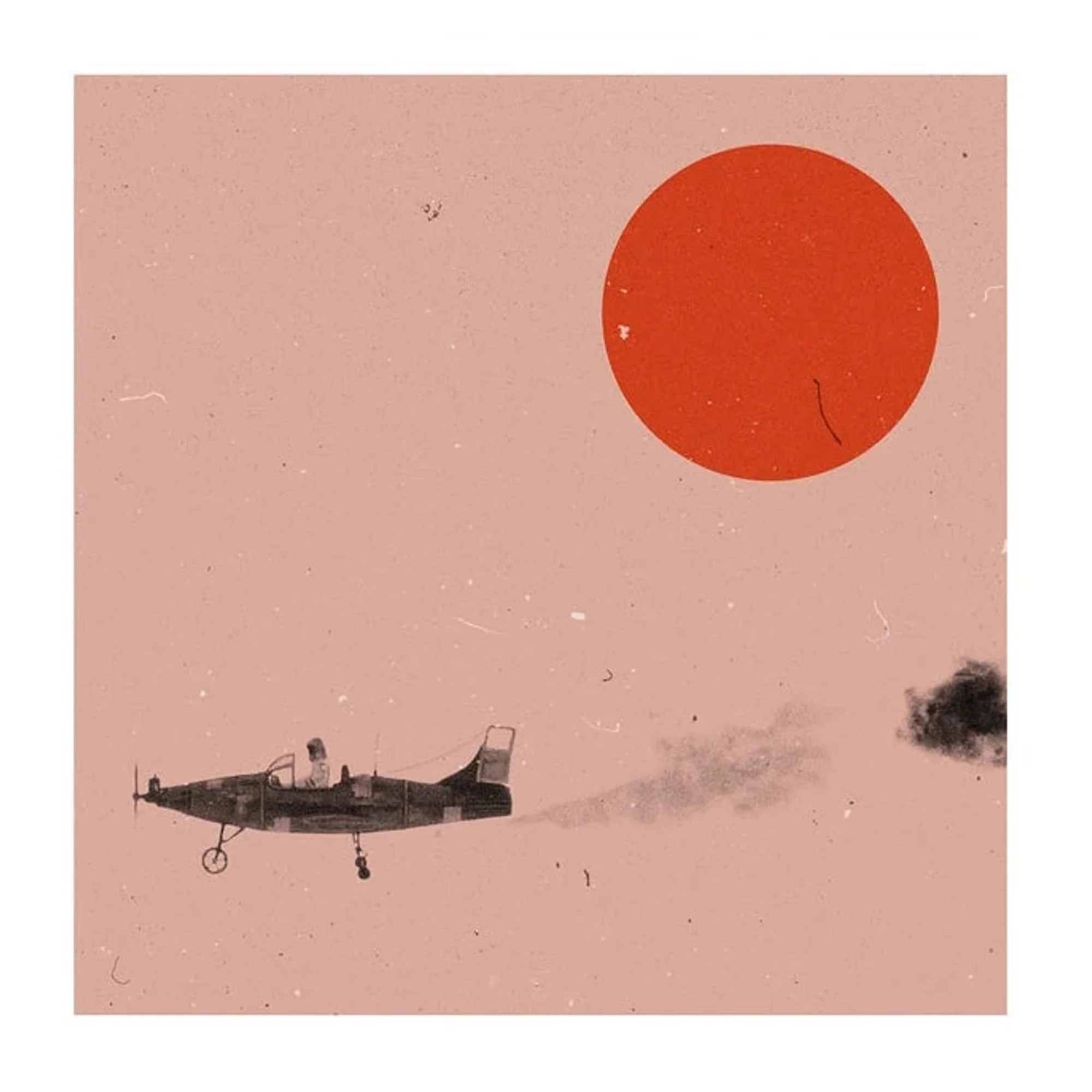 Isle of Dogs - Image 3