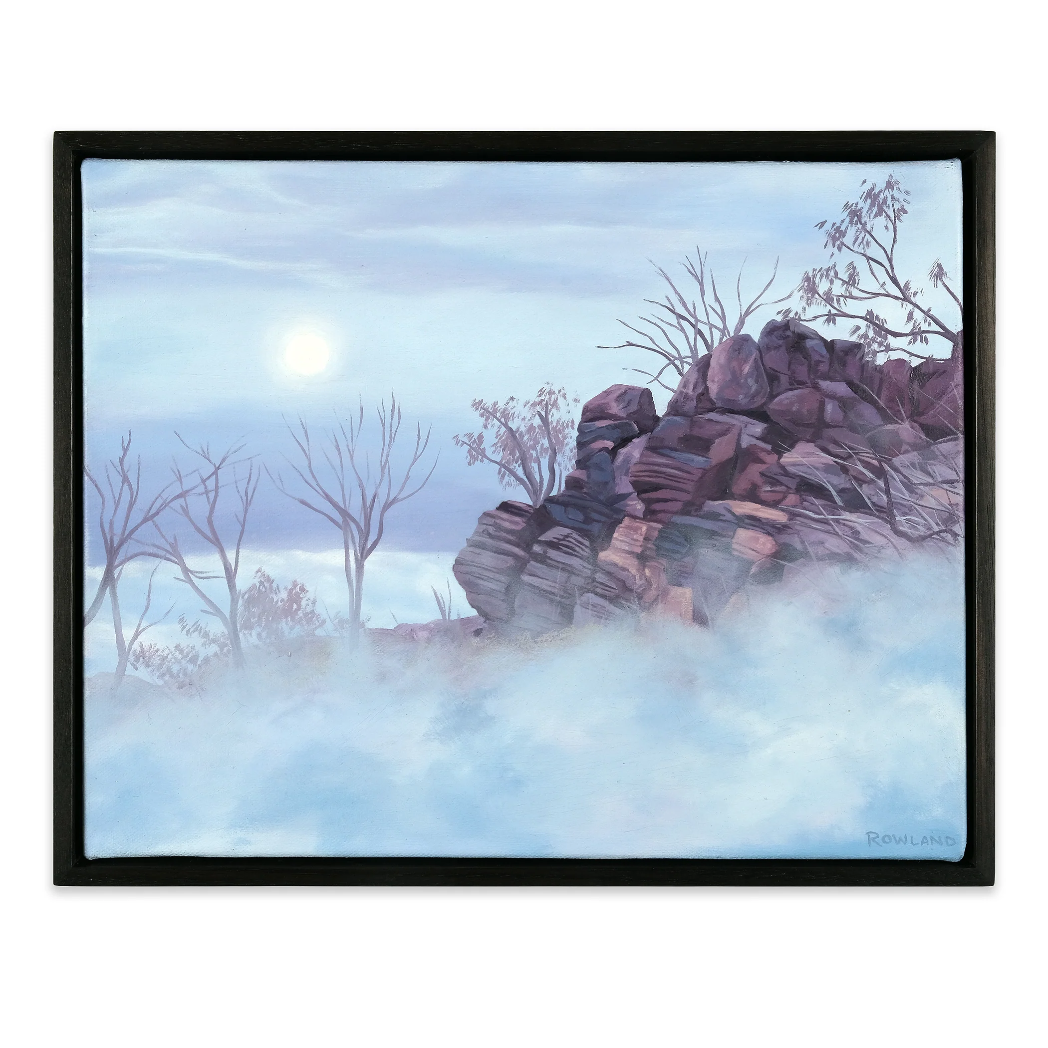 Frozen Desert