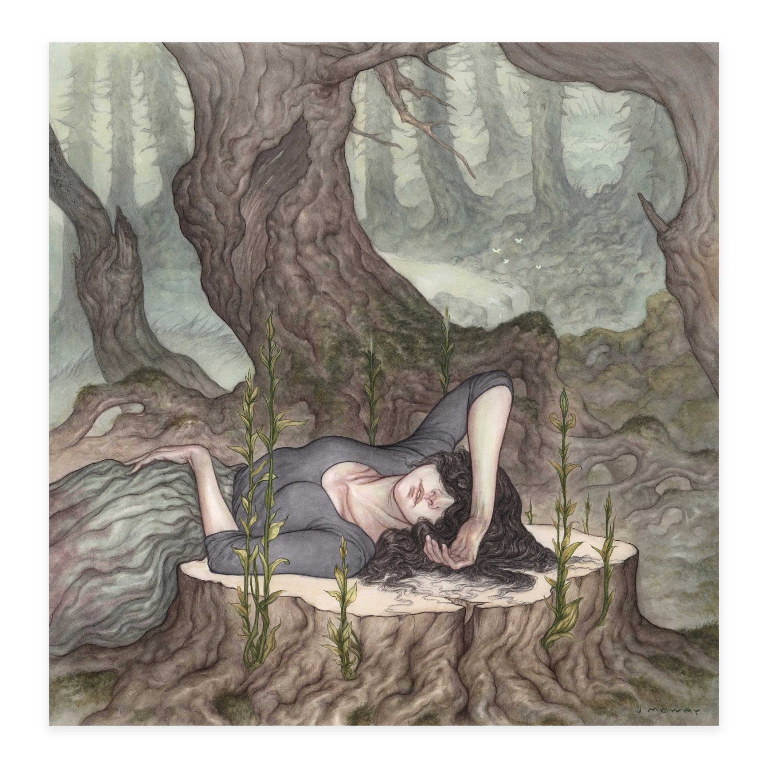 Metsänpeitto - Image 2