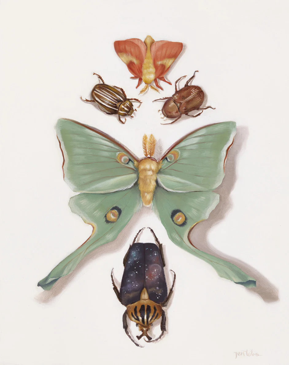 Insects