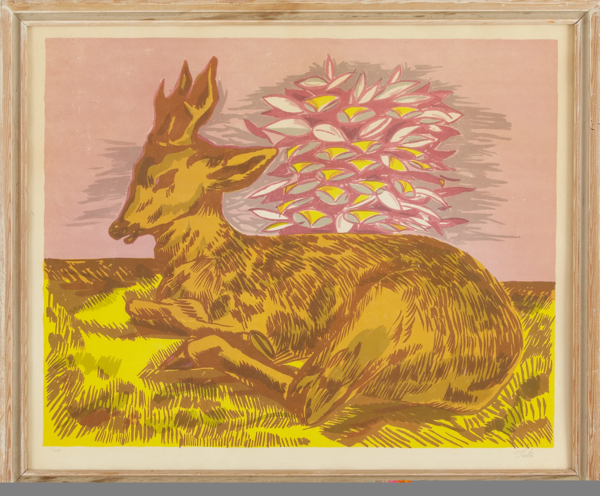 Laying Fallow Deer