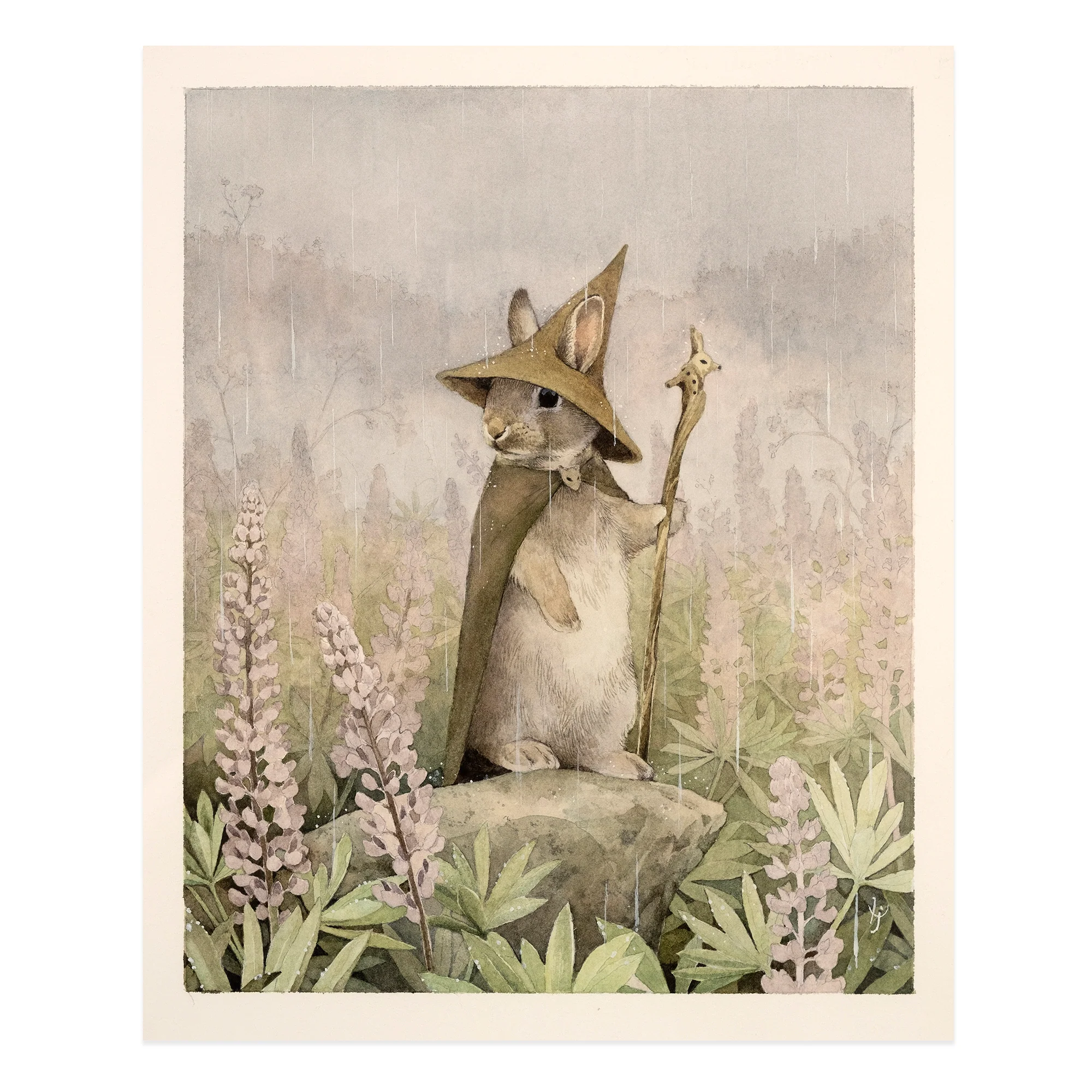 Lupine