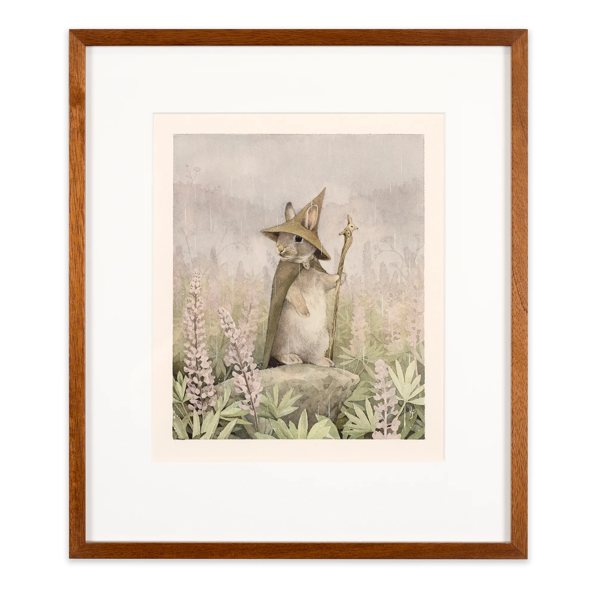 Lupine - Image 2