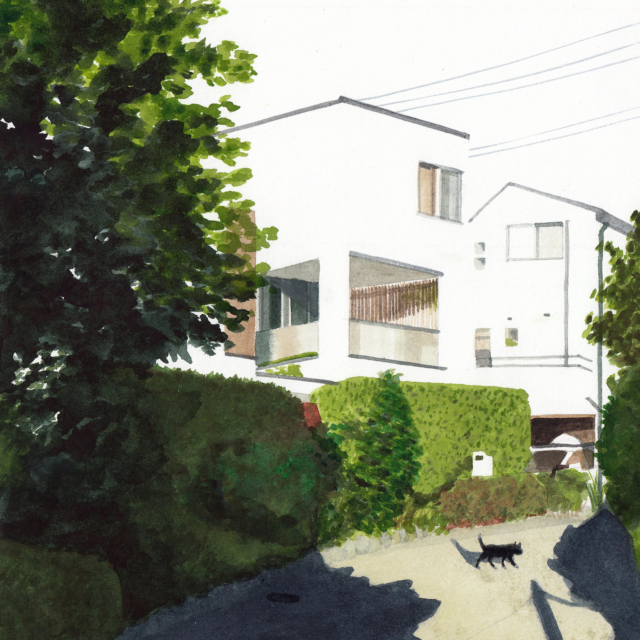 Whiteout - Image 3