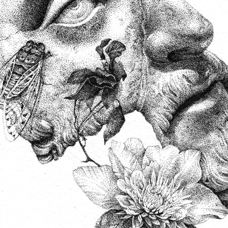 'Marcus Aurelius' - Image 2
