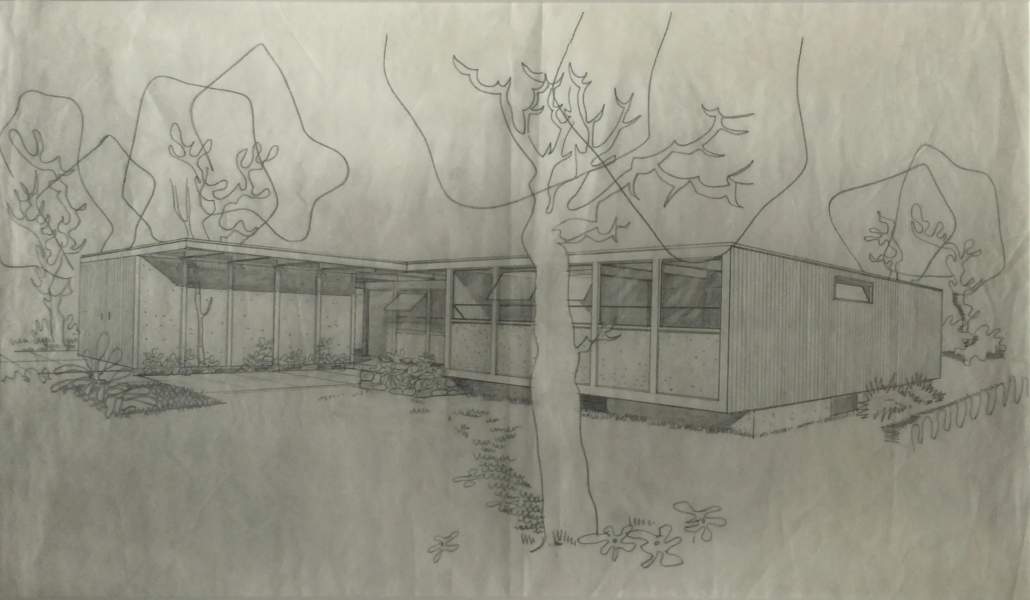Mid Century Modern House