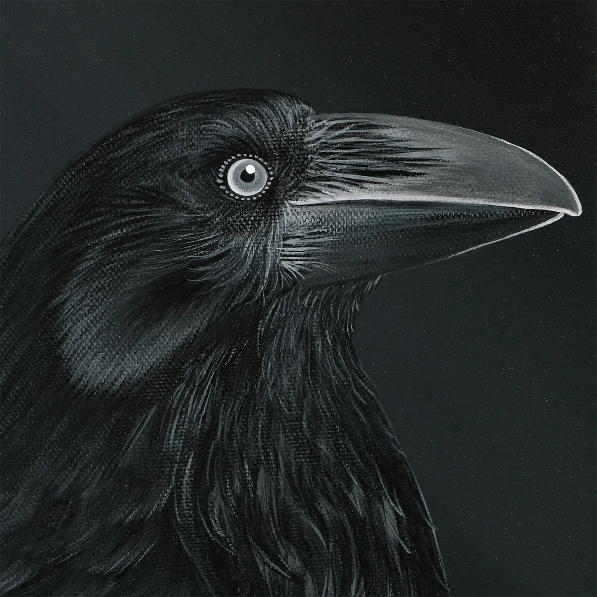 Midnight Murmur - Image 3