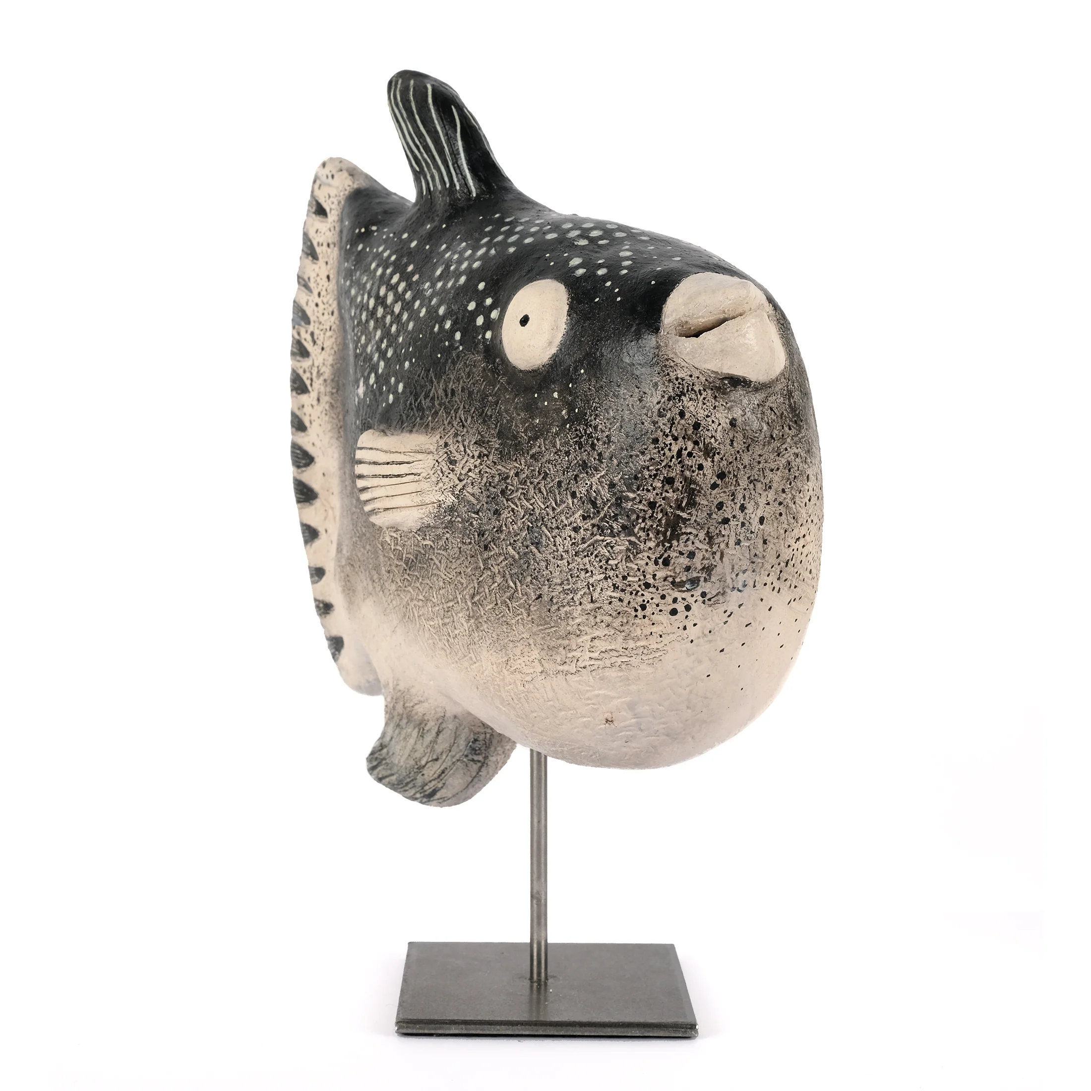 Mola Mola - Image 2