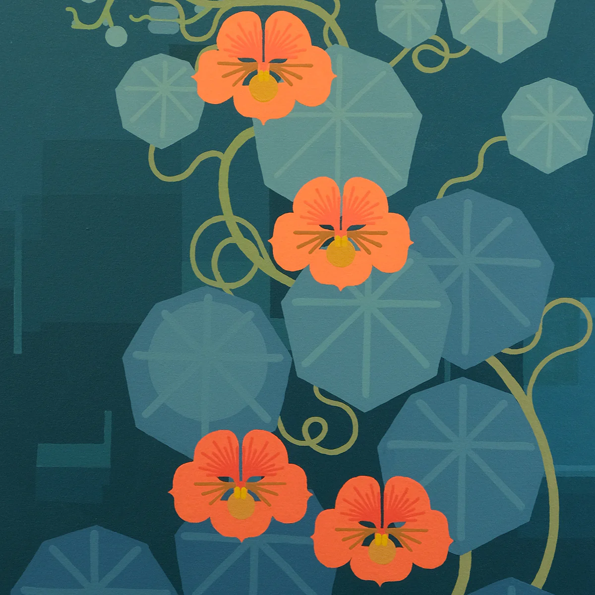 Nasturtium - Image 3