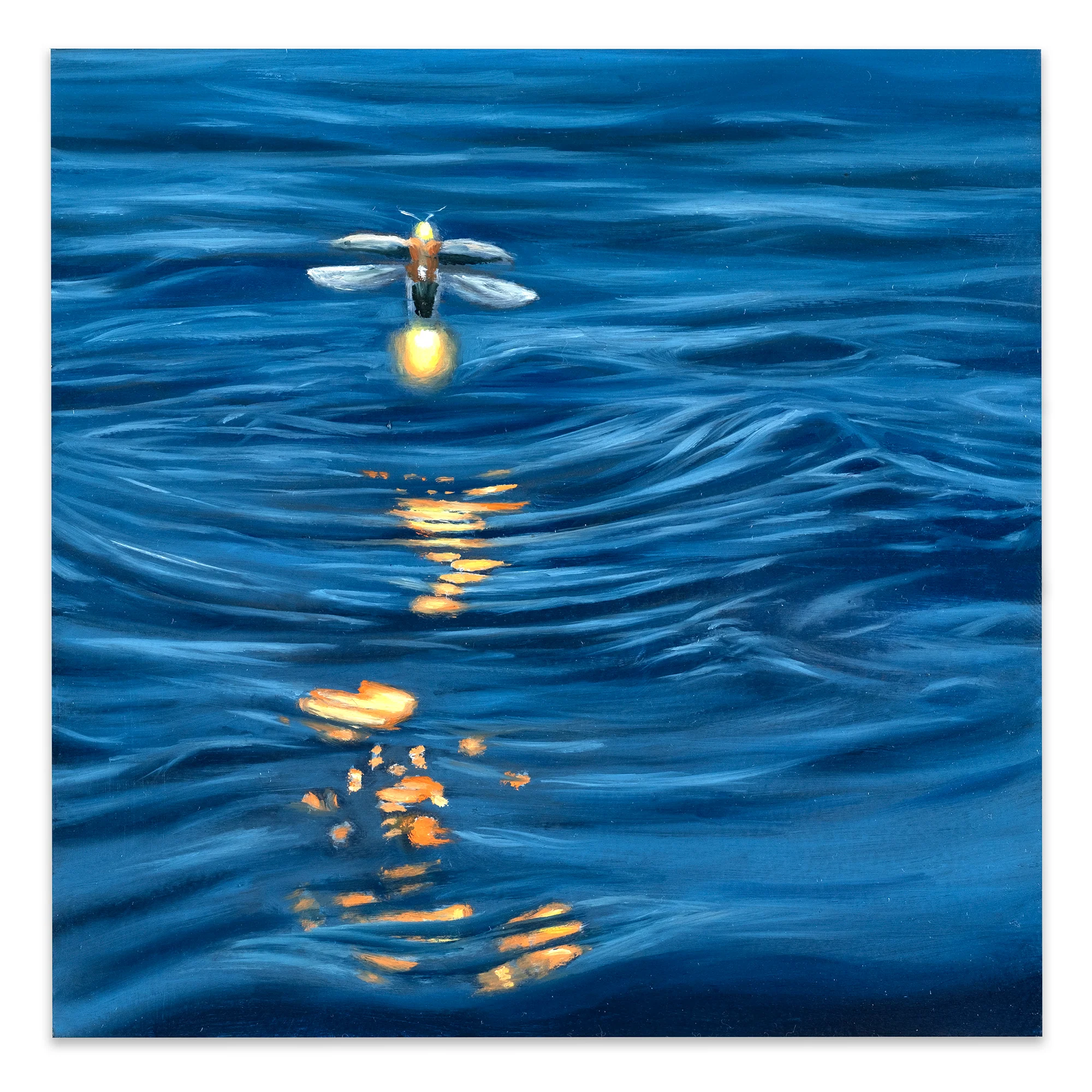 Glimmer III Study