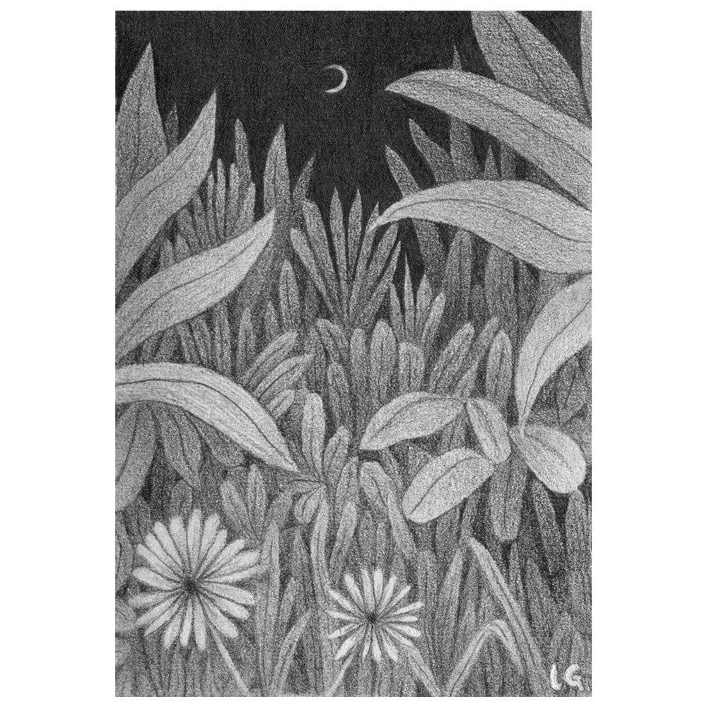 Night Garden
