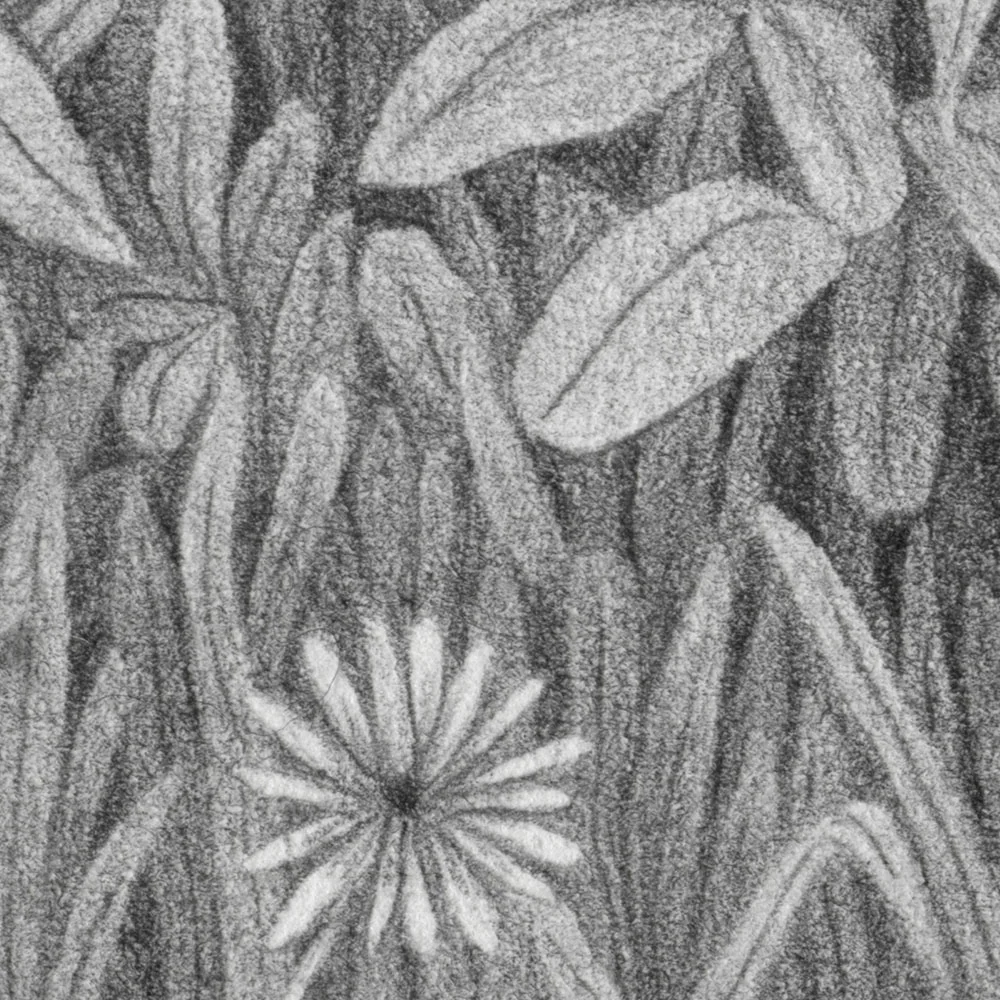 Night Garden - Image 3