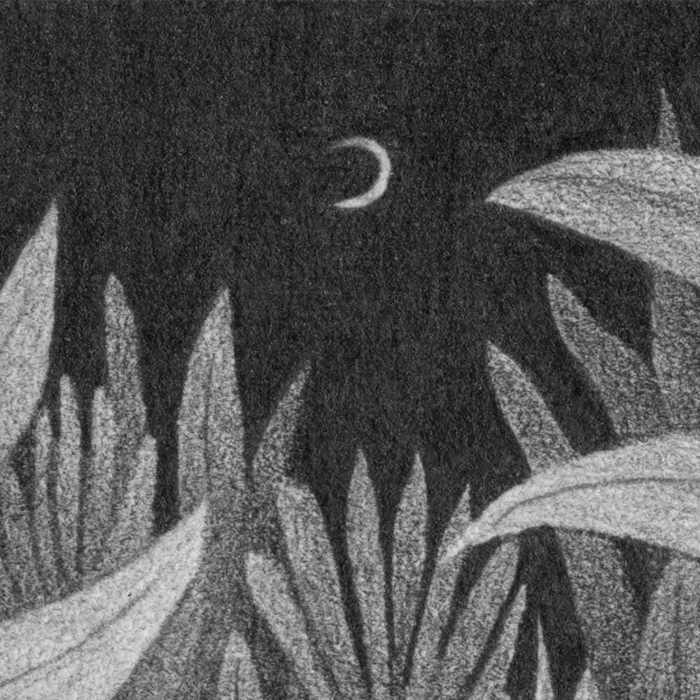 Night Garden - Image 4