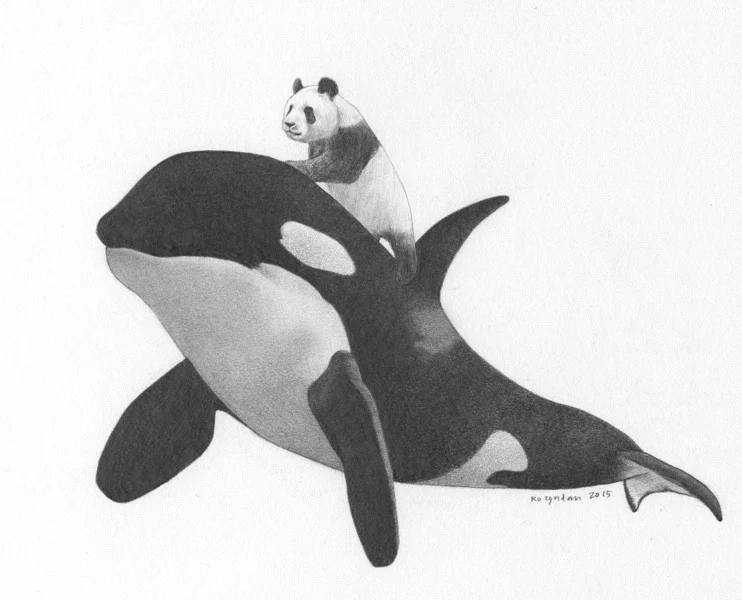 Orca Standing Panda